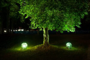 Zweifach nicht gut: 1.) Bäume anzustrahlen sollte ein NoGo sein. 2.) Diese Lichtquellen leuchten nicht nur senkrecht nach oben, sondern erhellen auch ringsum die gesamte Umgebung.